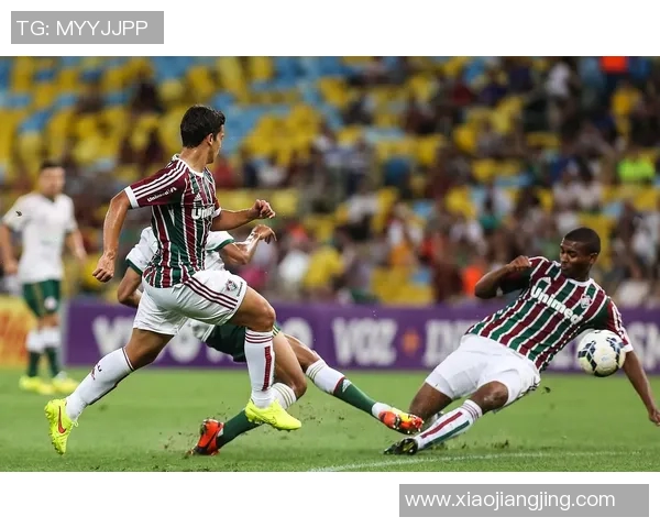 塞阿拉与米美州的激烈对决揭示巴西足球的魅力与竞争力