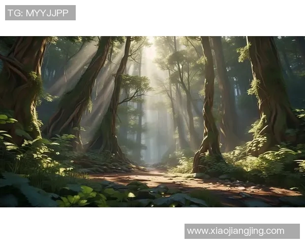 探索索博斯洛伊的历史与文化遗产之旅：揭开神秘面纱的奇幻之境