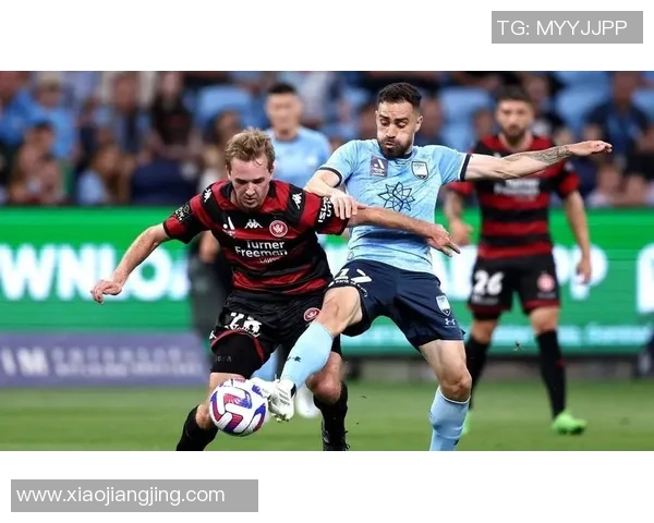 铂斯与西悉尼的激烈对决谁能在这场较量中笑到最后