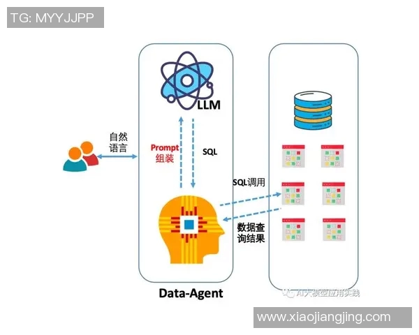 深入探讨V5战队在比赛中的数据分析与配合表现评估