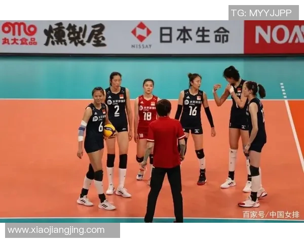 成都排球队与武汉排球队速度对比分析赛后复盘